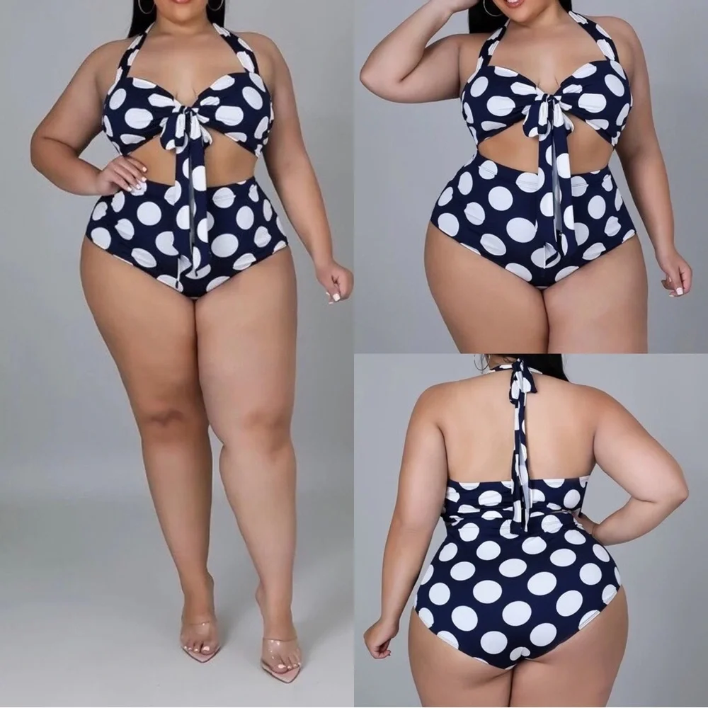 Dani Blue & White Polka Dot Bikini 1X-3X